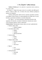 Referāts 'Vadības funkcijas, iekšējā vide, ārējā vide', 2.