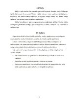 Referāts 'Vadības funkcijas, iekšējā vide, ārējā vide', 5.