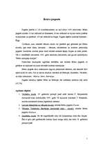 Referāts 'Aizkraukles rajons', 5.