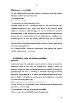 Biznesa plāns 'SIA "Neretas būvnieks"', 17.