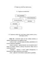 Prakses atskaite 'Prakses atskaite - nekustamo īpašumu apsaimniekošana', 7.