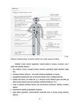 Referāts 'Alkohola ietekme uz jauniešu organismu', 20.