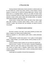 Referāts 'Alkohola ietekme uz jauniešu organismu', 21.