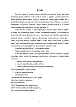 Referāts 'Pensiju sistēma Latvijā', 2.