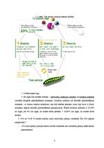 Referāts 'Pensiju sistēma Latvijā', 6.