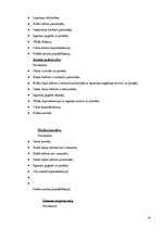 Diplomdarbs 'Kanoe airētāju stāja un antropometriskie rādītāji salīdzinājumā ar vienaudžiem', 13.