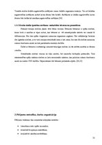 Diplomdarbs 'Kanoe airētāju stāja un antropometriskie rādītāji salīdzinājumā ar vienaudžiem', 21.