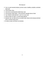 Referāts 'Opera', 15.