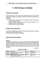 Biznesa plāns 'Jaunas kosmētikas līnijas "XXX" ieviešana tirgū', 12.