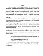 Referāts 'Apdrošināšana kā viens no riska pārvaldīšanas instrumentiem', 3.