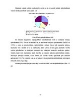 Referāts 'Apdrošināšana kā viens no riska pārvaldīšanas instrumentiem', 13.