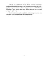 Referāts 'Apdrošināšana kā viens no riska pārvaldīšanas instrumentiem', 19.