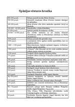 Konspekts 'Spānijas vēstures hronika', 1.