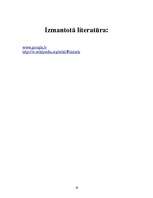 Referāts 'Datortehnika', 18.