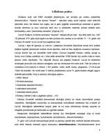 Referāts 'Totalitārisms Padomju Savienībā', 9.