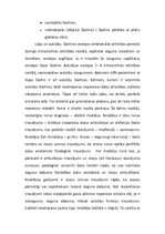 Referāts 'Perifērā runas aparāta orgānu patoloģijas', 6.