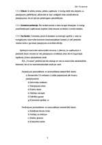 Biznesa plāns 'Biznesa plāns', 8.