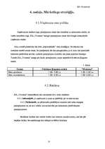 Biznesa plāns 'Biznesa plāns', 10.