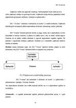 Biznesa plāns 'Biznesa plāns', 14.