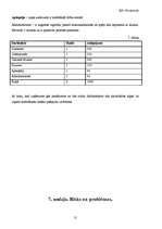 Biznesa plāns 'Biznesa plāns', 15.