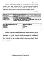 Biznesa plāns 'Biznesa plāns', 16.