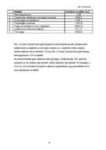 Biznesa plāns 'Biznesa plāns', 18.