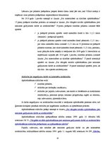 Referāts 'Valsts obligātās sociālās apdrošināšanas maksājumi', 16.