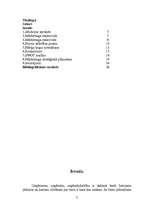 Referāts 'SIA "XXX" mārketinga analīze', 2.