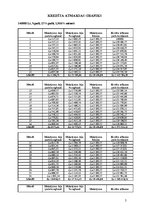 Paraugs 'Finanšu plāns', 2.