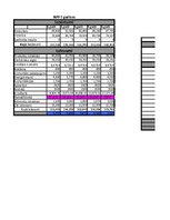 Paraugs 'Finanšu plāns', 17.