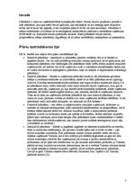 Referāts 'Plānošanas nozīme mārketingā. Mārketinga plāns', 3.