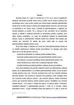 Referāts 'Pašnodarbināto personu vadīšanas procesa pilnveides iespējas', 4.