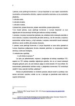 Referāts 'Pašnodarbināto personu vadīšanas procesa pilnveides iespējas', 8.