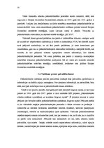 Referāts 'Pašnodarbināto personu vadīšanas procesa pilnveides iespējas', 20.