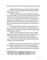 Konspekts 'Uzņēmuma stratēģija un politika. Stratēģiskās vadīšanas process', 3.