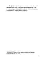 Konspekts 'Uzņēmuma stratēģija un politika. Stratēģiskās vadīšanas process', 5.