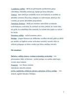 Konspekts 'Atpūtas un piedzīvojumu nometne "Apslēptās mantas meklējumi"', 3.