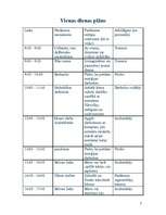 Konspekts 'Atpūtas un piedzīvojumu nometne "Apslēptās mantas meklējumi"', 7.