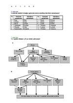 Paraugs 'Viduslaiki Baltijā', 3.