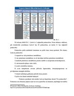 Konspekts 'Prokuratūra Lietuvā. Advokatūra Amerikas Savienotajās Valstīs', 6.