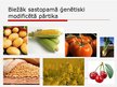 Prezentācija 'Ģenētiski modificēta pārtika', 4.