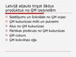 Prezentācija 'Ģenētiski modificēta pārtika', 10.