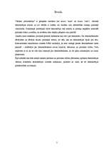 Referāts 'Demokrātija', 2.