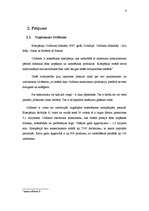 Referāts 'Modernā mārketinga attīstības faktori uzņēmumos "Avon" un "Oriflame"', 8.