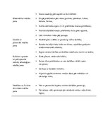 Prakses atskaite 'Prakse pirmsskolā', 2.