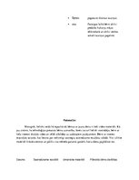 Prakses atskaite 'Prakse pirmsskolā', 7.