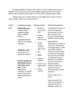 Prakses atskaite 'Prakse pirmsskolā', 9.