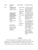 Prakses atskaite 'Prakse pirmsskolā', 12.