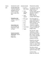 Prakses atskaite 'Prakse pirmsskolā', 14.