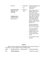 Prakses atskaite 'Prakse pirmsskolā', 17.